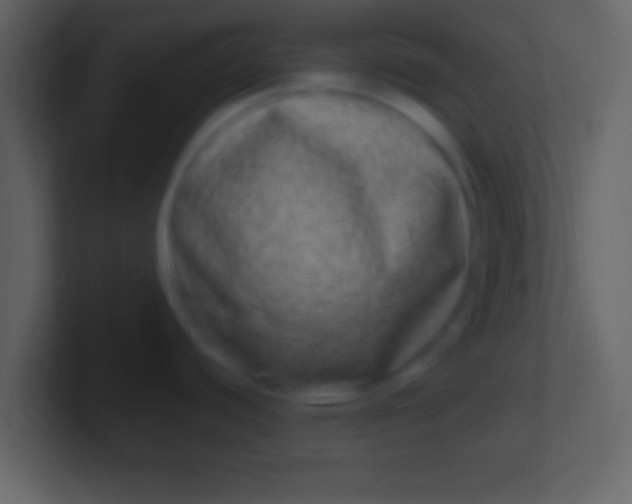 X0000100911440200807081115