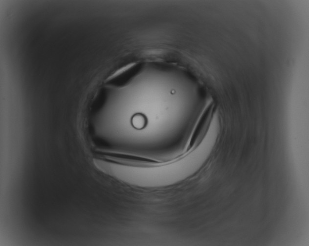 X0000100911441200807081114