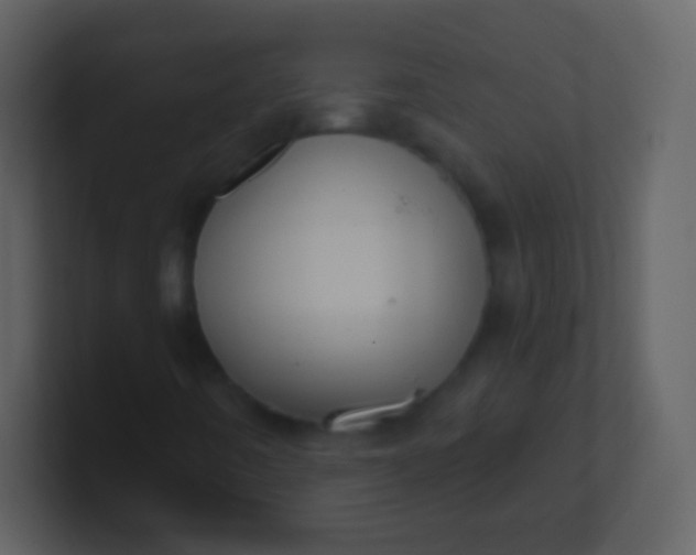 X0000100911442200807081114