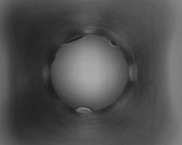 X0000100911443200807081114