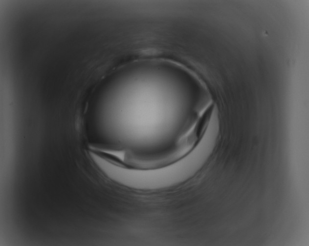 X0000100911444200807081114