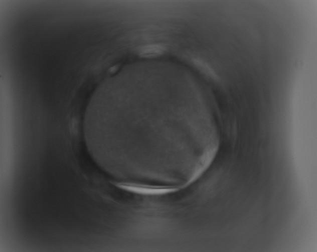 X0000100911445200807081114
