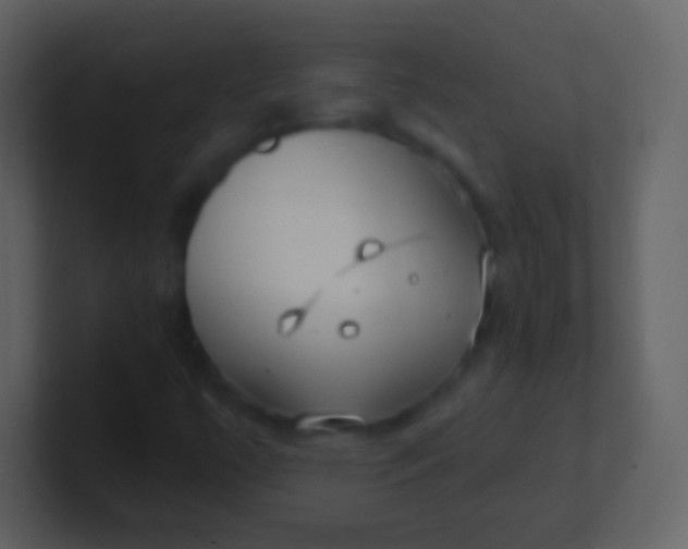 X0000100911447200807081114