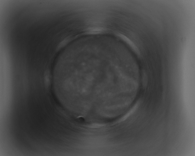 X0000100911449200807081114