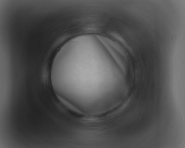 X0000100911450200807081114