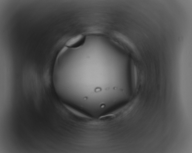 X0000100911451200807081114
