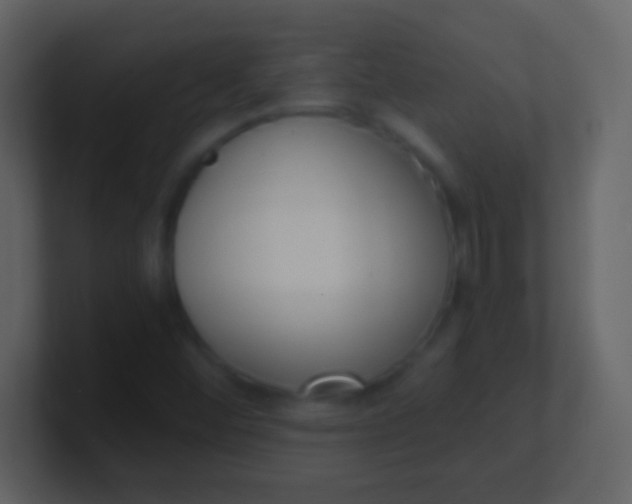 X0000100911452200807081114