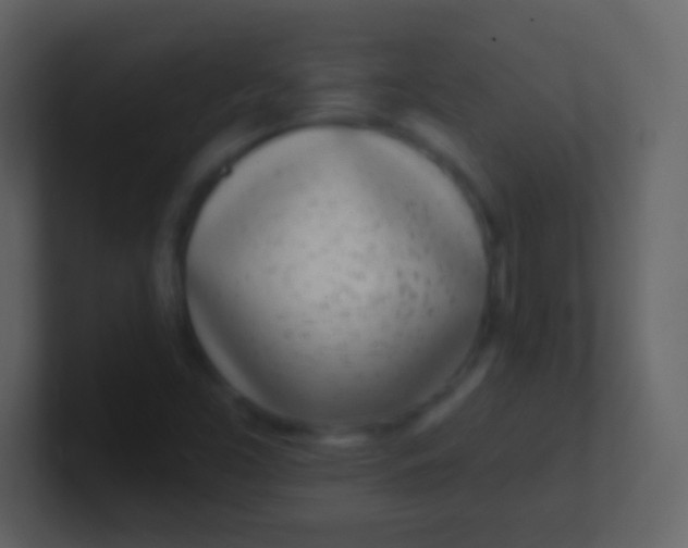 X0000100911453200807081114