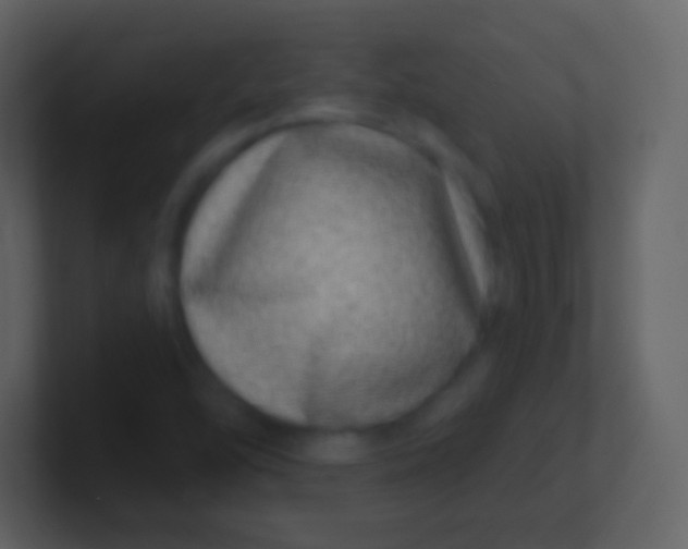 X0000100911454200807081114