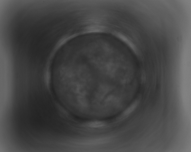 X0000100911459200807081114