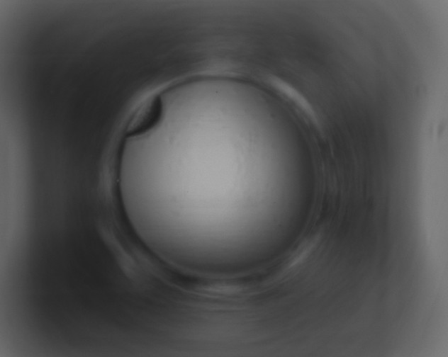 X0000100911463200807081114