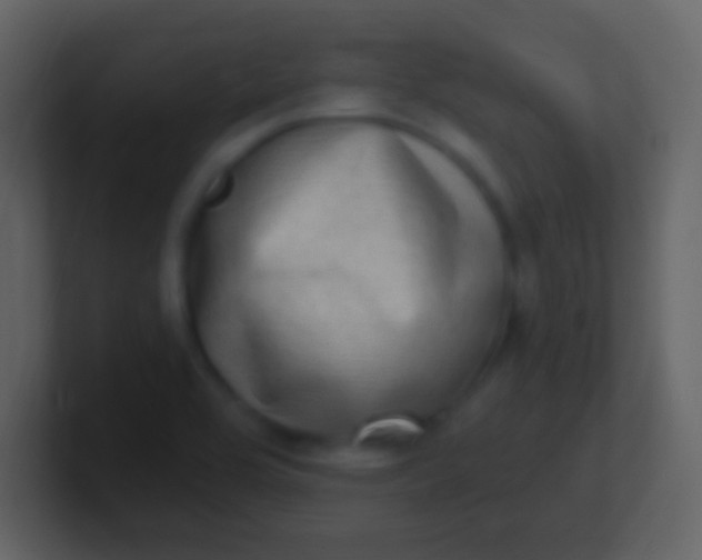 X0000100911464200807081114