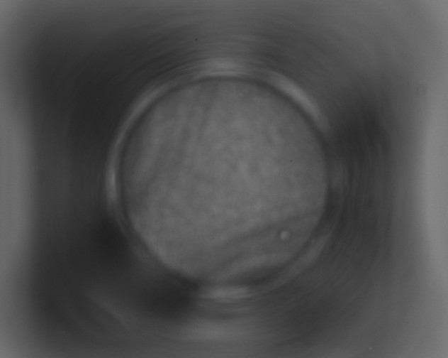 X0000100911466200807081114
