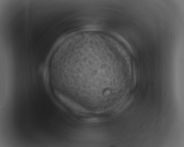 X0000100911467200807081114