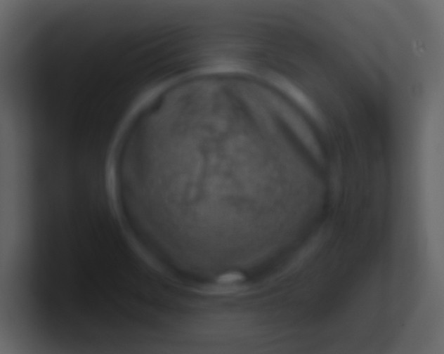 X0000100911468200807081114