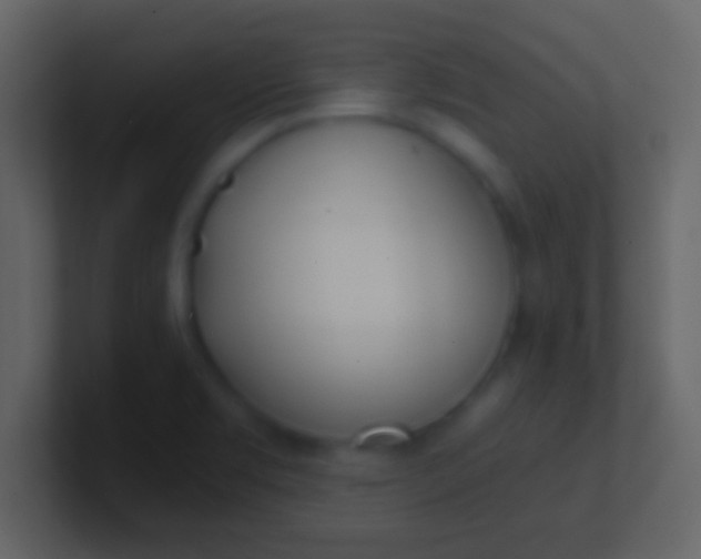 X0000100911469200807081114