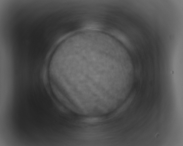 X0000100911470200807081114