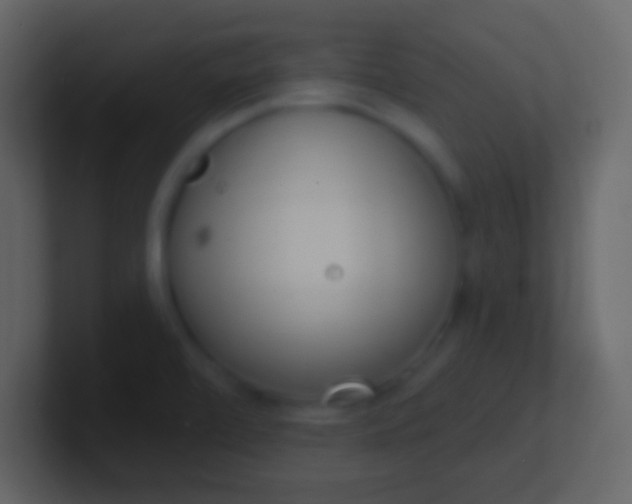 X0000100911472200807081114