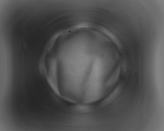 X0000100911473200807081113