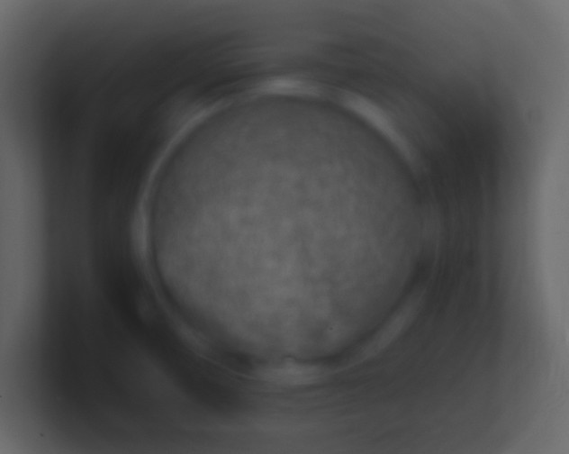 X0000100911474200807081113