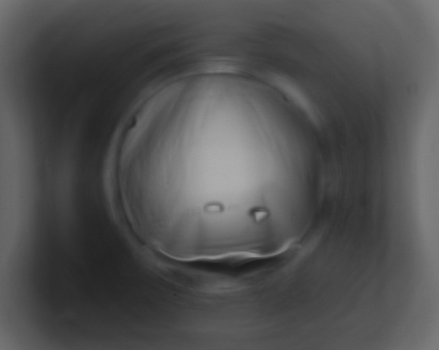 X0000100911475200807081113