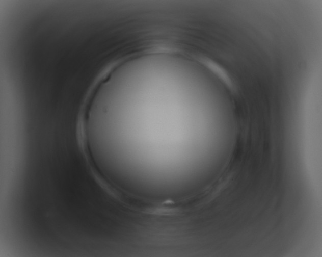 X0000100911476200807081113