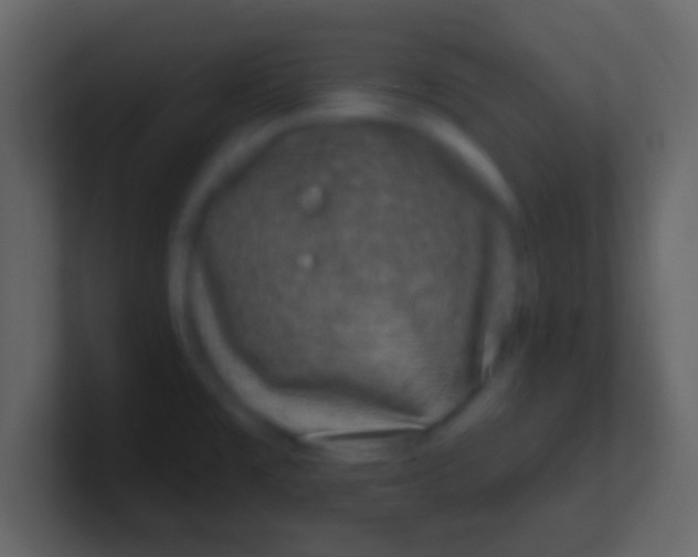 X0000100911477200807081113
