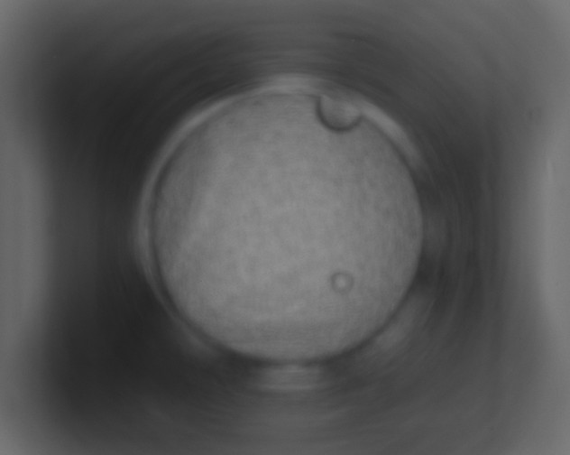 X0000100911478200807081113