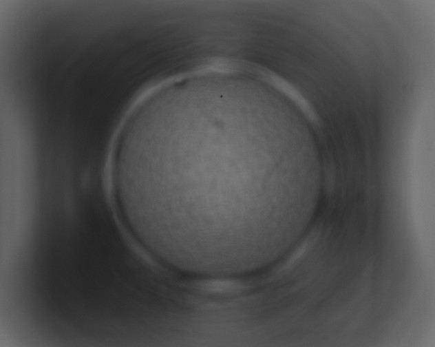 X0000100911479200807081113