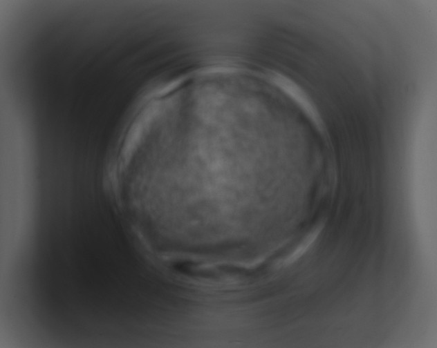 X0000100911481200807081113