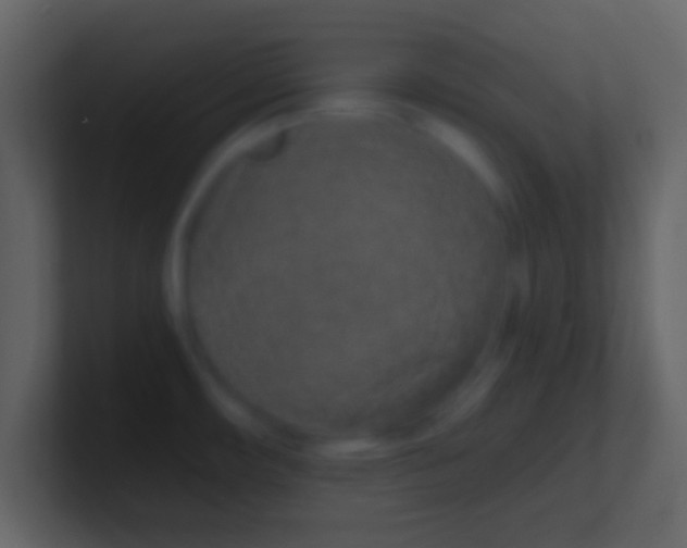 X0000100911482200807081113