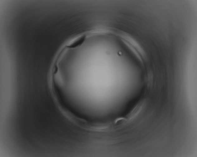 X0000100911484200807081113