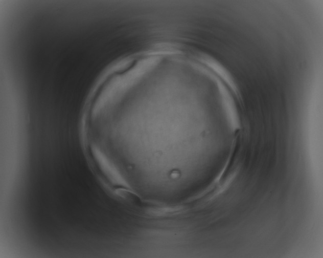 X0000100911485200807081113