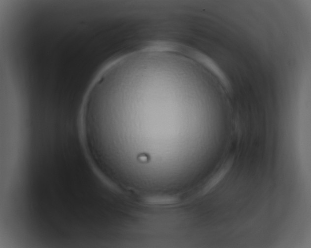 X0000100911487200807081113