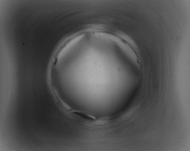 X0000100911488200807081113