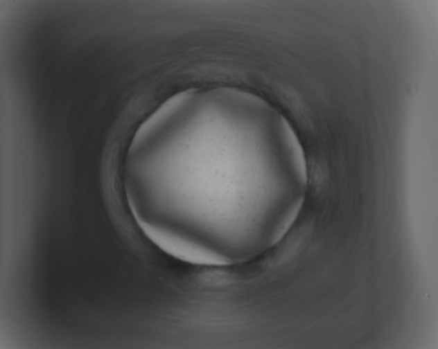 X0000100911489200807081113