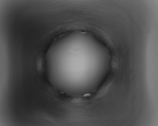 X0000100911490200807081113