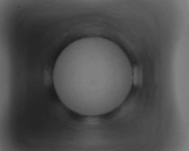 X0000100911491200807081113