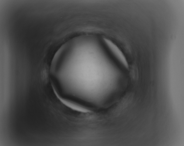 X0000100911493200807081113