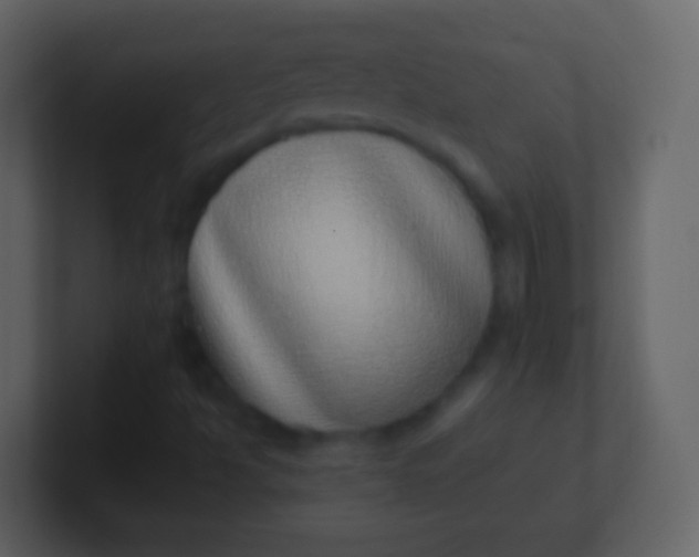 X0000100911494200807081113