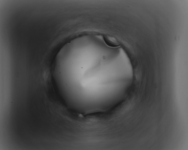 X0000100911495200807081113