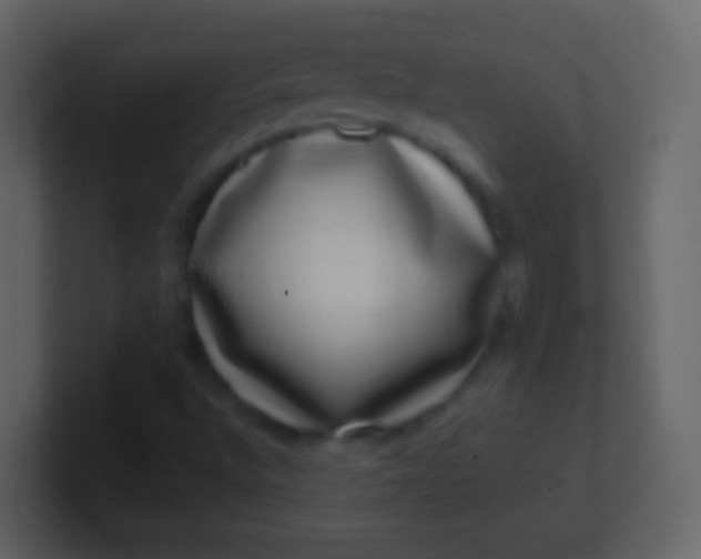 X0000100911496200807081113