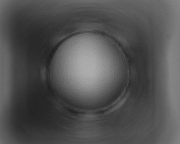 X0000100911497200807081113