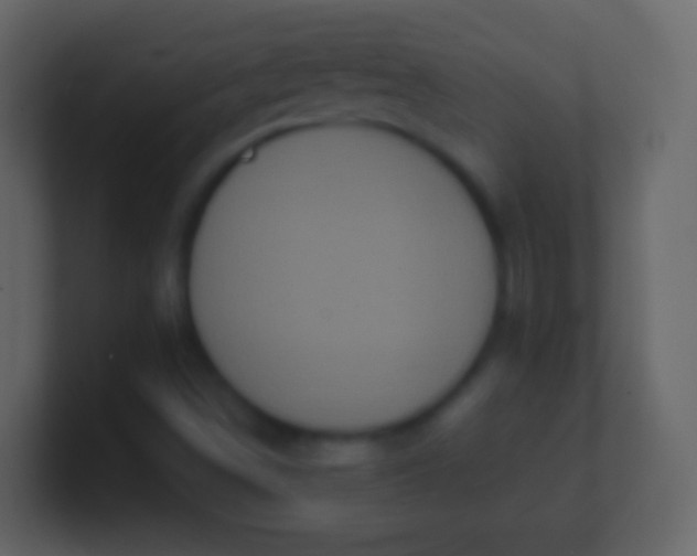 X0000100911498200807081113