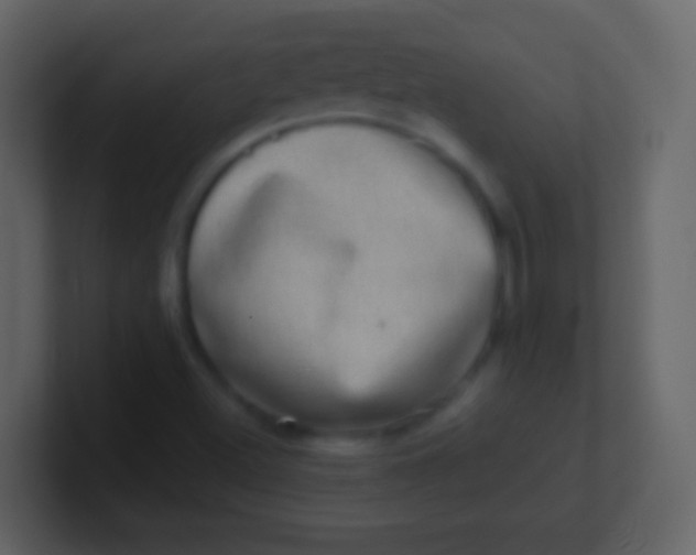 X0000100911500200807081113