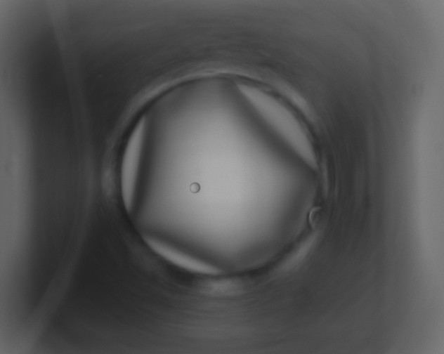 X0000100911501200807081113