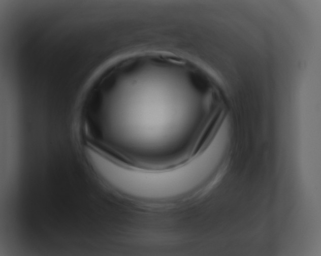 X0000100911502200807081113