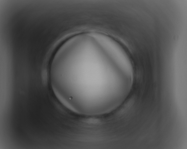 X0000100911503200807081113
