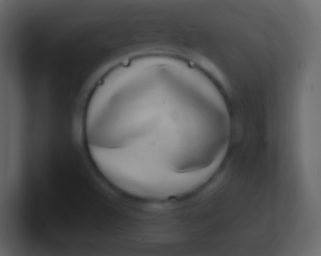 X0000100911504200807081113