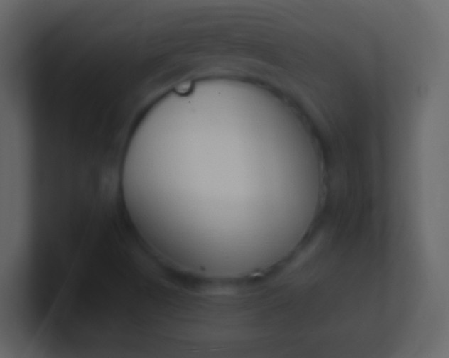 X0000100911505200807081113